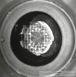 Figure Three - Femtosecond Laser Figure Three - Femtosecond Laser
